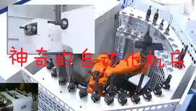 工業(yè)機(jī)器人自娛自樂